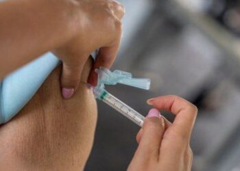 Ministério da Saúde pedirá incorporação da vacina contra Chikungunya no SUS