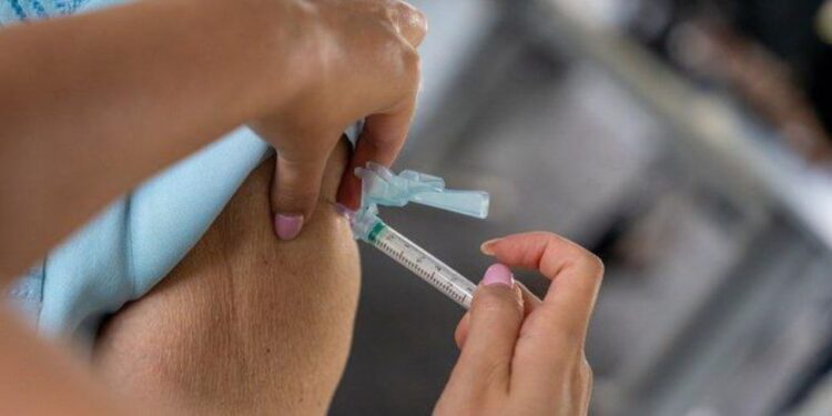 Ministério da Saúde pedirá incorporação da vacina contra Chikungunya no SUS