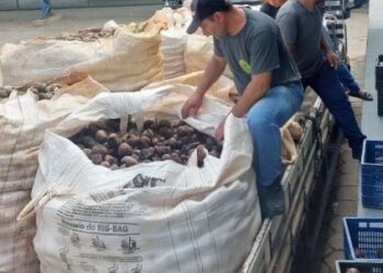 Banco Municipal de Alimentos de Formiga recebe 10 toneladas de doações e amplia alcance regional