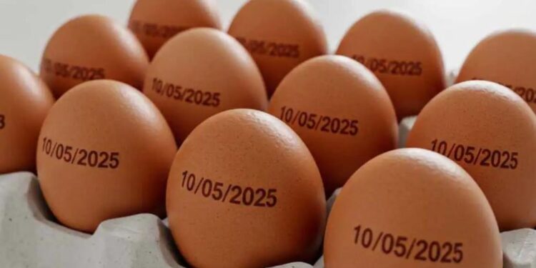 Preço dos alimentos vai cair mais nas próximas semanas, diz ministro