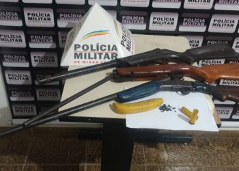 Idoso é preso em Pains por posse ilegal de arma de fogo e maus tratos