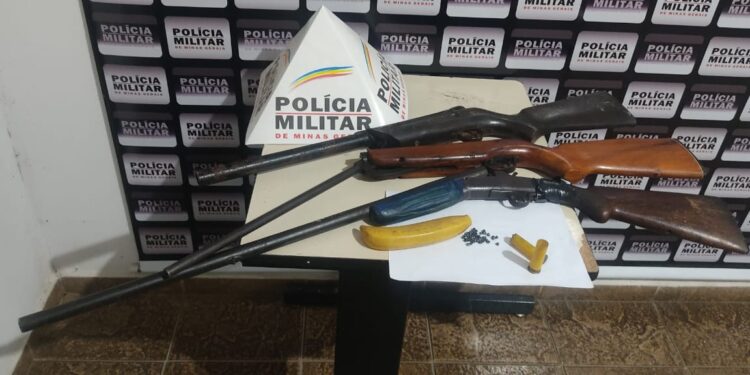 Idoso é preso em Pains por posse ilegal de arma de fogo e maus tratos