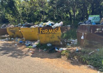Mesmo com aumento dos dias de coleta, lixo segue incomodando moradores de Pontevila