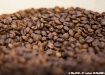 Mapa desclassifica três marcas de café por irregularidades graves