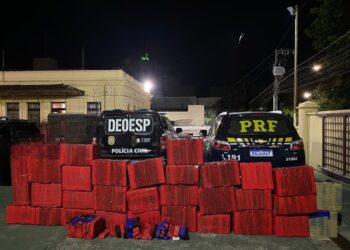 Homem é preso com quase uma tonelada de maconha em Formiga