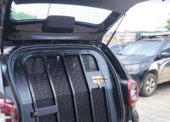 Homem é preso suspeito de estuprar o filho de 4 anos diagnosticado com autismo