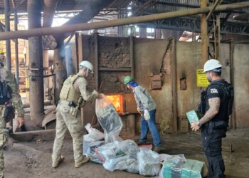 Polícia Civil incinera cerca de 1,8 tonelada de drogas em Divinópolis