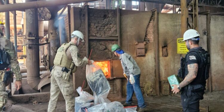 Polícia Civil incinera cerca de 1,8 tonelada de drogas em Divinópolis