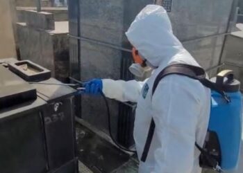 Após fiscalização da Câmara, dedetização no Cemitério do Santíssimo mostra efeito imediato