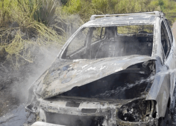 Carro fica destruído após pegar fogo na BR-354 em Bambuí