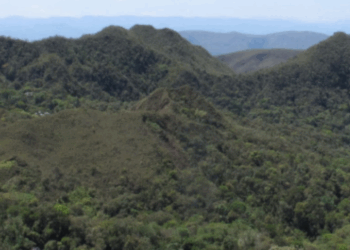 Minas Gerais reduz desmatamento da Mata Atlântica em 25%