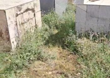 Após reclamações, administração informa sobre limpeza no cemitério do Distrito de Albertos