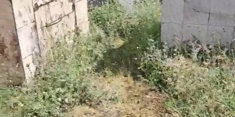 Após reclamações, administração informa sobre limpeza no cemitério do Distrito de Albertos