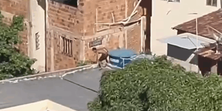 Homem tenta fugir por telhados, é perseguido pela polícia e acaba preso em MG; veja vídeo