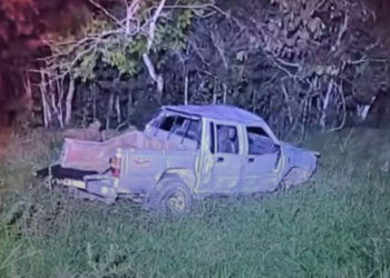 Idoso morre ao capotar caminhonete ao ser atacado por abelhas