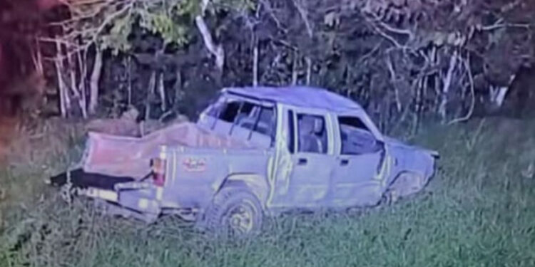 Idoso morre ao capotar caminhonete ao ser atacado por abelhas