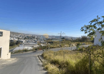 Prefeitura de Formiga notifica proprietários de terrenos no Jardim das Acácias sobre limpeza obrigatória