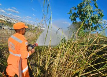 Corpo de Bombeiros combate incêndio em vegetação no Bairro Saudade, em Formiga
