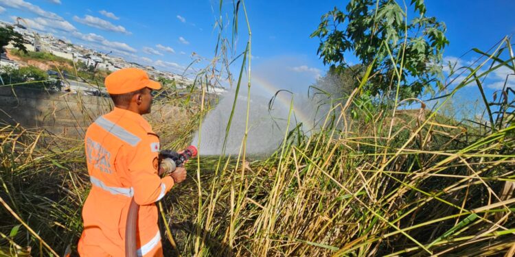 Corpo de Bombeiros combate incêndio em vegetação no Bairro Saudade, em Formiga