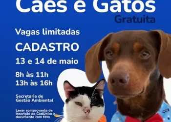 Prefeitura de Formiga realiza castração gratuita de cães e gatos