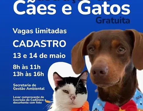 Prefeitura de Formiga realiza castração gratuita de cães e gatos
