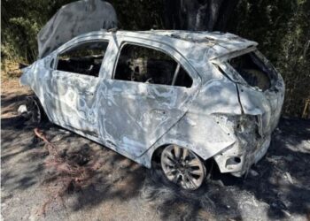 Veículo é destruído pelas chamas na MG-050, em Vianópolis