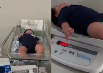 Projeto de lei propõe proibição de atendimento a bebês reborn no SUS e prevê multa de até 10 vezes o valor do serviço