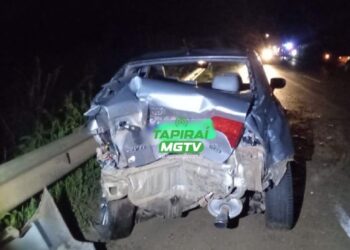 Tamanduá atravessa pista e causa acidente entre dois carros e uma carreta na BR-354
