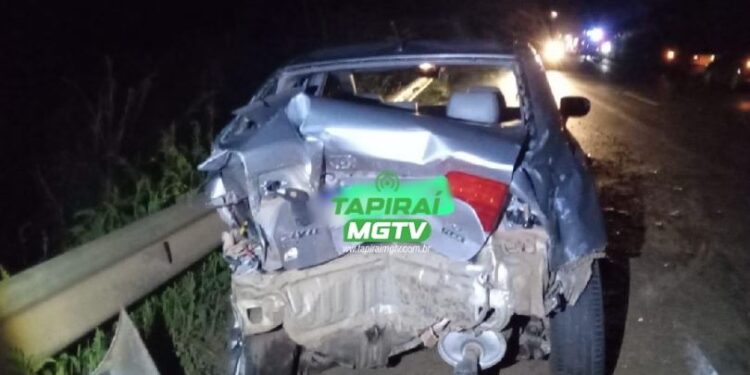 Tamanduá atravessa pista e causa acidente entre dois carros e uma carreta na BR-354