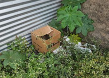 Corpo de Bombeiros divulga informações sobre recém-nascido abandonado em Formiga