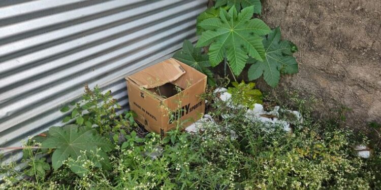 Corpo de Bombeiros divulga informações sobre recém-nascido abandonado em Formiga