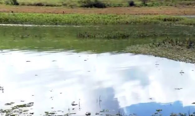 Lago de Furnas terá a qualidade da água analisada por laboratório da Universidade Federal de Alfenas