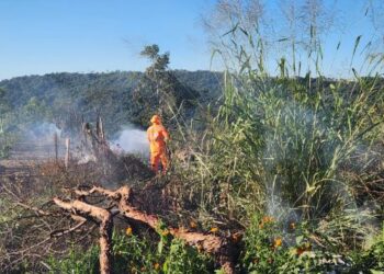 Bombeiros combatem incêndio em lote vago no Tino Pereira, em Formiga