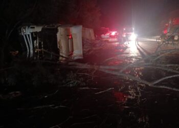 Carreta tomba e atinge árvore na BR-354, em Arcos