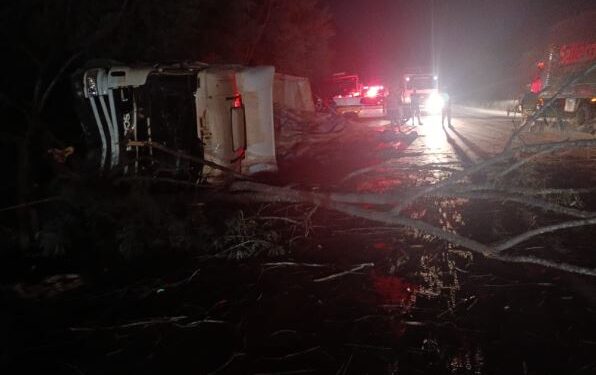 Carreta tomba e atinge árvore na BR-354, em Arcos