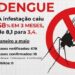 Formiga reduz infestação da dengue e retoma estado de normalidade