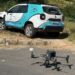 Formiga inova no combate à dengue com uso de drones em áreas de risco elevado