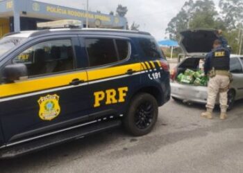 Três homens são presos após saque de carga de cerveja na BR-381