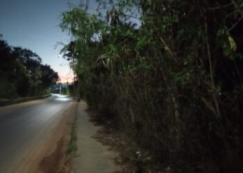 Informe volta a receber denúncias sobre situação de abandono da avenida Pimenta da Veiga