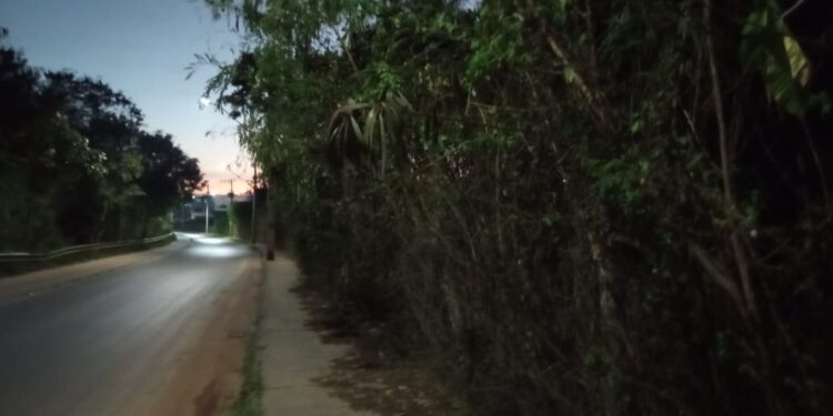 Informe volta a receber denúncias sobre situação de abandono da avenida Pimenta da Veiga