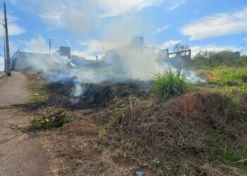 Dois adolescentes são apreendidos após incêndio atingir mais de 1,5 mil metros quadrados de vegetação em Campo Belo