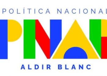 Formiga realiza segunda e última consulta pública da PNAB 2025 na próxima terça-feira