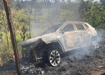 Carro capota, pega fogo e provoca incêndio às margens da BR-354, em Arcos