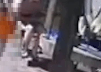 Criança de 2 anos mata mãe de 27 acidentalmente com arma do pai em MS