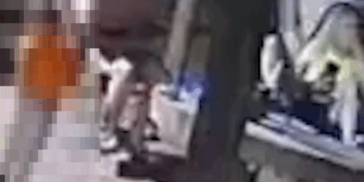 Criança de 2 anos mata mãe de 27 acidentalmente com arma do pai em MS