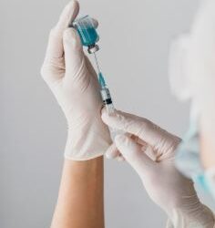 Formiga: confira as novas datas e rotas do vacimóvel