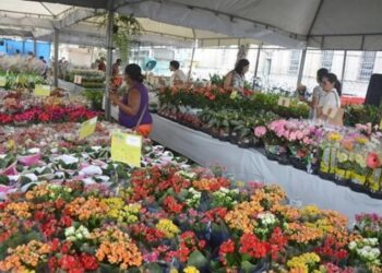 Começa amanhã e vai até domingo a Feira de Flores e Plantas promovida pelo Tatame do Bem
