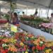 Começa amanhã e vai até domingo a Feira de Flores e Plantas promovida pelo Tatame do Bem