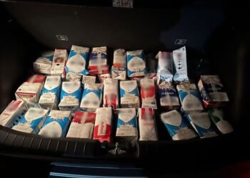 Polícia flagra dezenas de pássaros silvestres em transporte ilegal com caixas de leite em Divinópolis