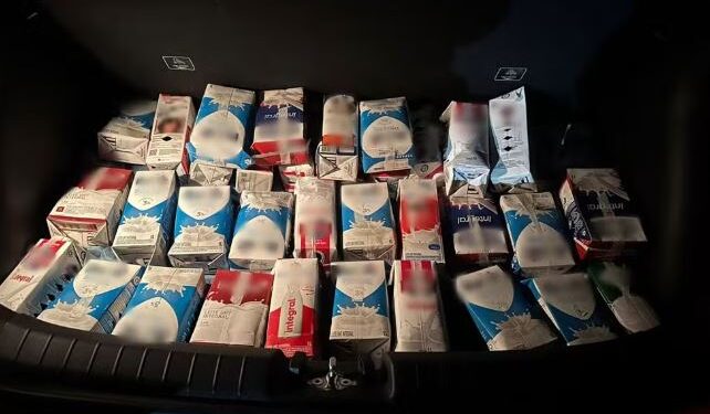 Polícia flagra dezenas de pássaros silvestres em transporte ilegal com caixas de leite em Divinópolis